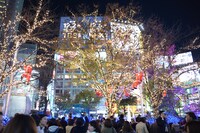 渋谷ハチ公前広場 イルミネーション