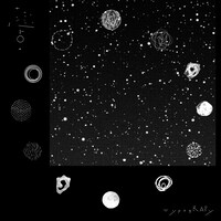 蓮沼執太「メロディーズ」ジャケット