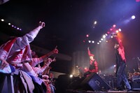 「逗子三兄弟 5th Anniversary ＆ Tour Final ONEMAN Live in TOKYO『三匹の子ブタ ～伝説はここから始まった～』」の様子。（Photo by Mishimagick）