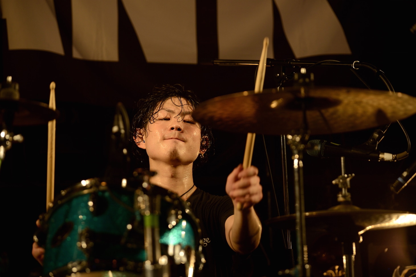 池本雄季（Dr, Cho）（撮影：半田安政[showcase]）