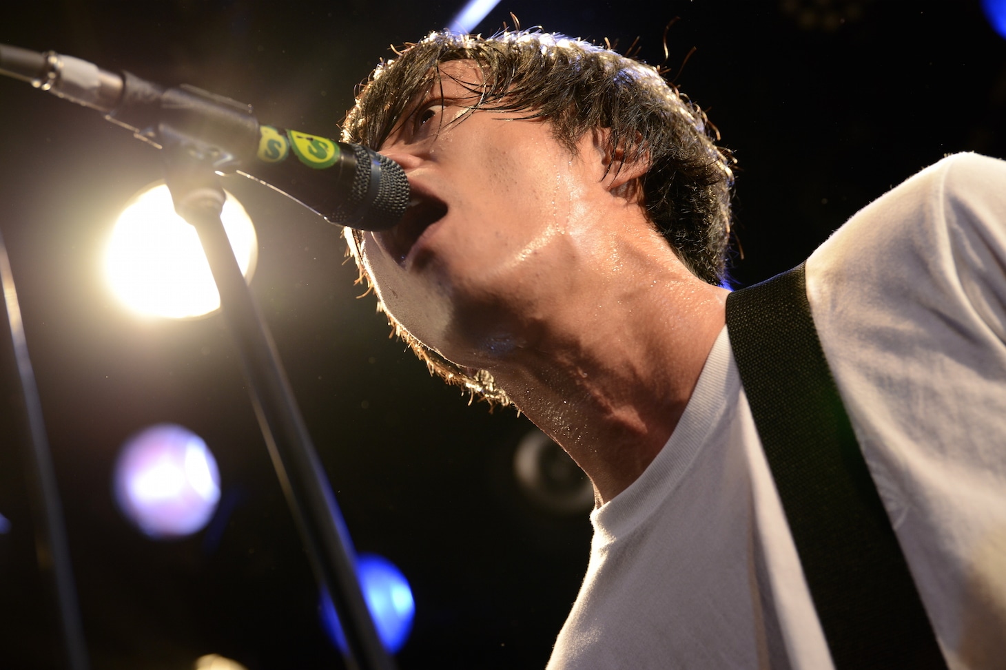 庵原将平（Vo, B）（撮影：半田安政[showcase]）