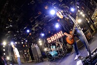 SHANK（撮影：半田安政[showcase]）