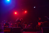 indigo la Endの東京国際フォーラム ホールAの様子。（写真提供：ワーナーミュージック・ジャパン）