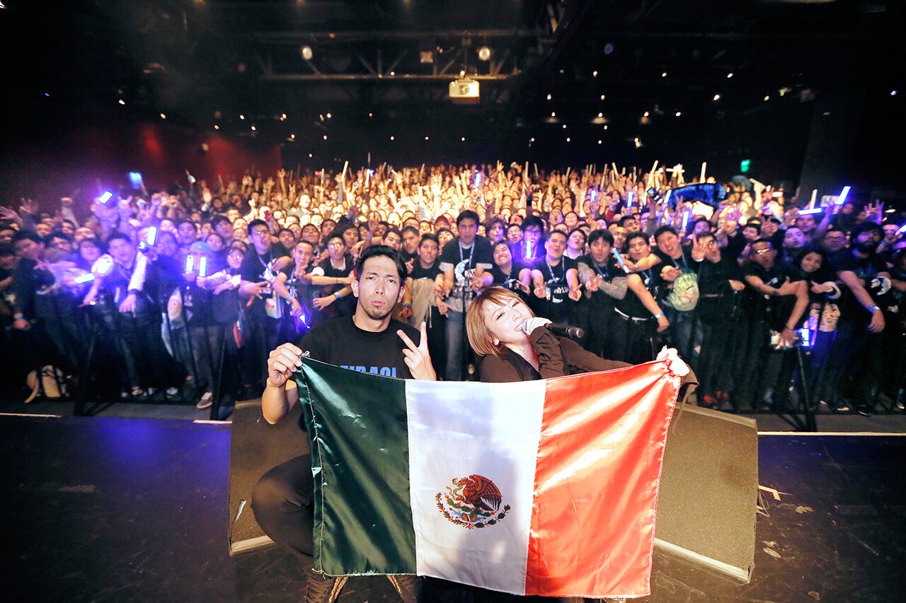 藍井エイル武道館ライブ映像リリース、ワールドツアー映像も収録