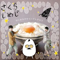 さくらしめじ「はじまるきせつ / さんきゅう」あさばんジャケット