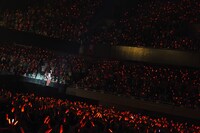 鞘師里保のイメージカラーである赤色のペンライトで染め上げられた会場の様子。