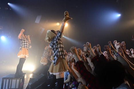 あゆみくりかまき