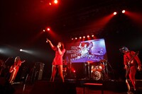 女王蜂（写真提供：HEADWAX ORGANIZATION CO., LTD.）