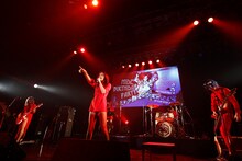 女王蜂（写真提供：HEADWAX ORGANIZATION CO., LTD.）