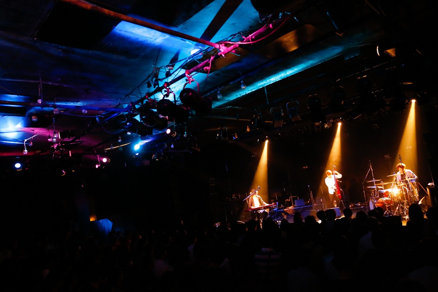 fox capture plan （撮影：関口佳代）