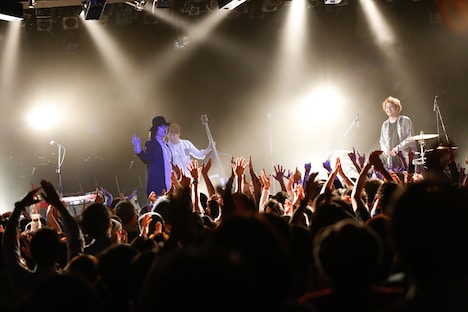 fox capture plan （撮影：関口佳代）