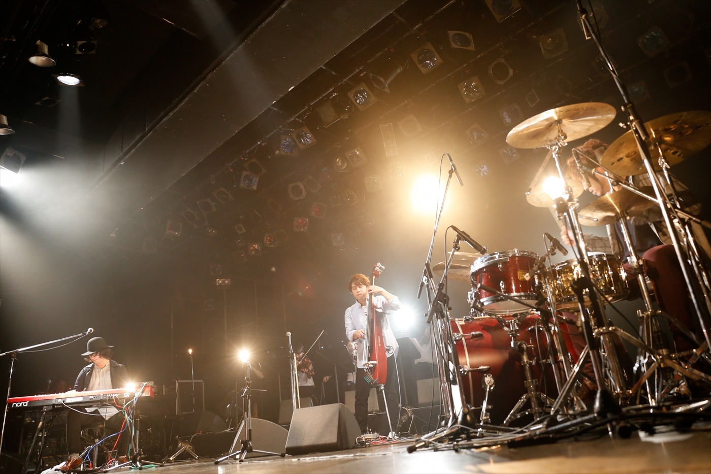 fox capture plan （撮影：関口佳代）