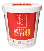 「チキンマックナゲット 48ピース」のボックス。