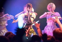 妄想キャリブレーションによるライブの様子。