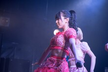 双葉苗（妄想キャリブレーション）