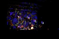 「TRUSTRICK LIVE PROUD 2015 "Good Bye Stray Sheep"」の様子。（撮影：森久）