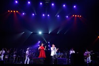 「TUBE LIVE AROUND 2015 Your TUBE＋My TUBE」ファイナル公演の様子。（写真提供：Sony Music Associated Records）