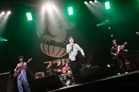 フラワーカンパニーズ（撮影：柴田恵理）