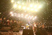 「奥田民生 生誕50周年伝説 “となりのベートーベン”」の様子。(撮影:三浦憲治、山本倫子)