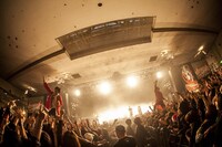 キュウソネコカミのライブの様子。（Photo by HayachiN）