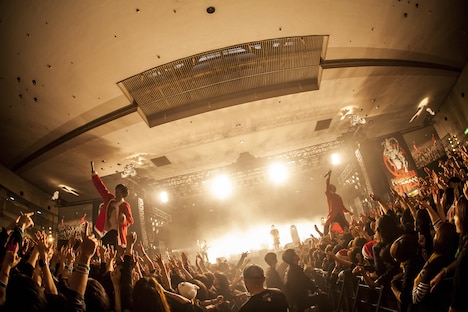 キュウソネコカミのライブの様子。（Photo by HayachiN）