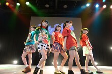 「乙女新党ワンマンライブツアー2015～ツチノコ探して東名阪▽～supported by SPINNS」東京公演の様子。