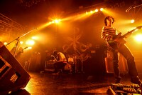 the pillows（Photo by Chiyori）