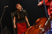 さくらん（Contrabass）