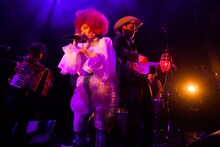 「EGO-WRAPPIN' live Midnight Dejavu」東京公演の様子。（撮影：仁礼博）