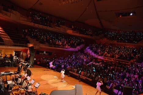 ネギライトで埋め尽くされたりゅーとぴあ新潟市民芸術文化会館 コンサートホール。