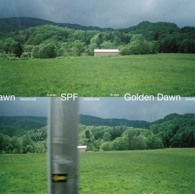 GRAPEVINE「SPF / Golden Dawn」ジャケット
