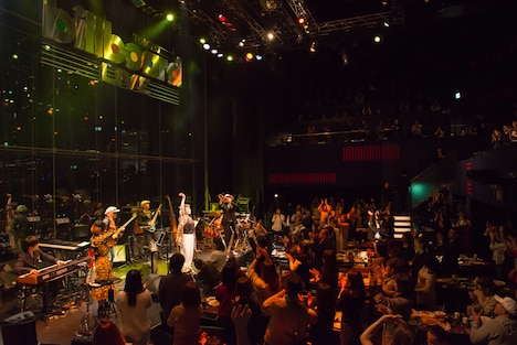 PUSHIM「YEAR END PREMIUM LIVE 2015」の様子。（Photo by cherry chill will）