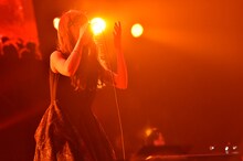Aimer（写真提供：rockin'on japan）