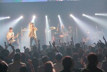 NOISEMAKER（写真提供：rockin'on japan）