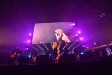 YEN TOWN BAND（写真提供：rockin'on japan）