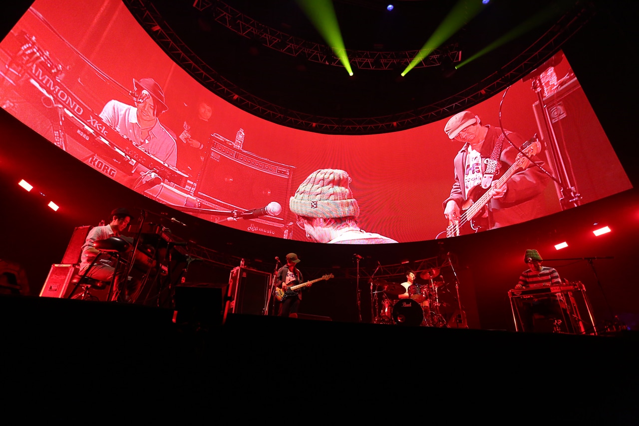 PHONO TONES（写真提供：rockin'on japan）