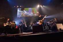 The Flickers（写真提供：rockin'on japan）
