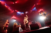 Rhythmic Toy World（写真提供：rockin'on japan）