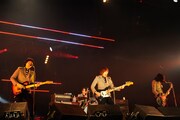 THE BAWDIES（写真提供：rockin'on japan）
