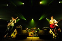 ASPARAGUS（写真提供：rockin'on japan）