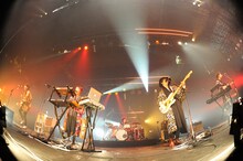 Czecho No Republic（写真提供：rockin'on japan）