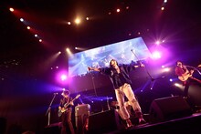 黒猫チェルシー（写真提供：rockin'on japan）