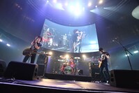 locofrank（写真提供：rockin'on japan）