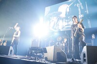 BUZZ THE BEARS（写真提供：rockin'on japan）