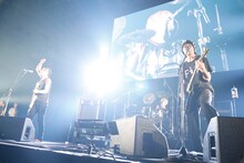 BUZZ THE BEARS（写真提供：rockin'on japan）
