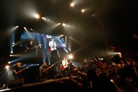 Suck a Stew Dry（写真提供：rockin'on japan）