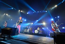 ウルフルズ（写真提供：rockin'on japan）