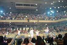 DISH//のライブの様子。