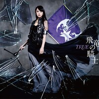 TRUE「飛竜の騎士」ジャケット