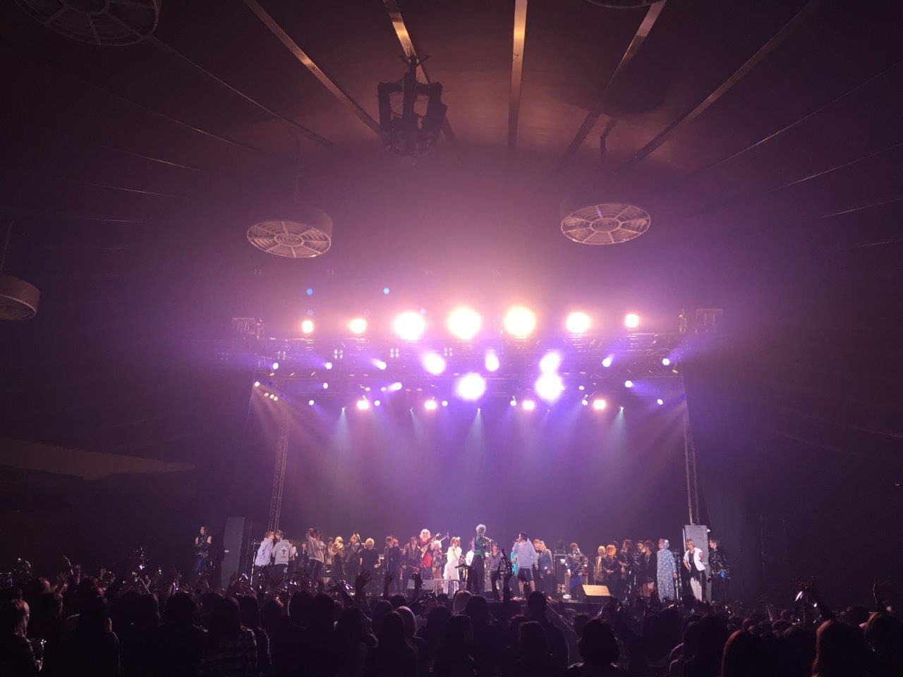 「Tokyo Chaos 2015」東京・国立代々木競技場第二体育館公演の様子。（撮影：木村泰之）